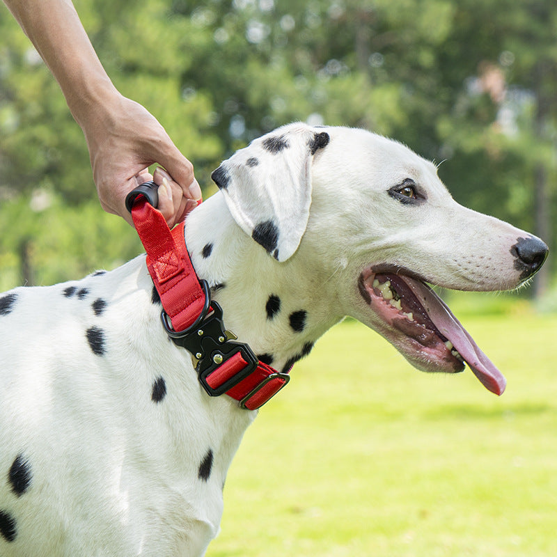 Tactical dog collar with handle