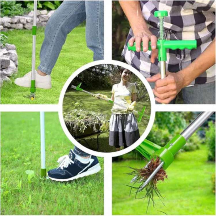 Siopsrl| Garden Weed Removal Tool Stainless Steel Root Puller