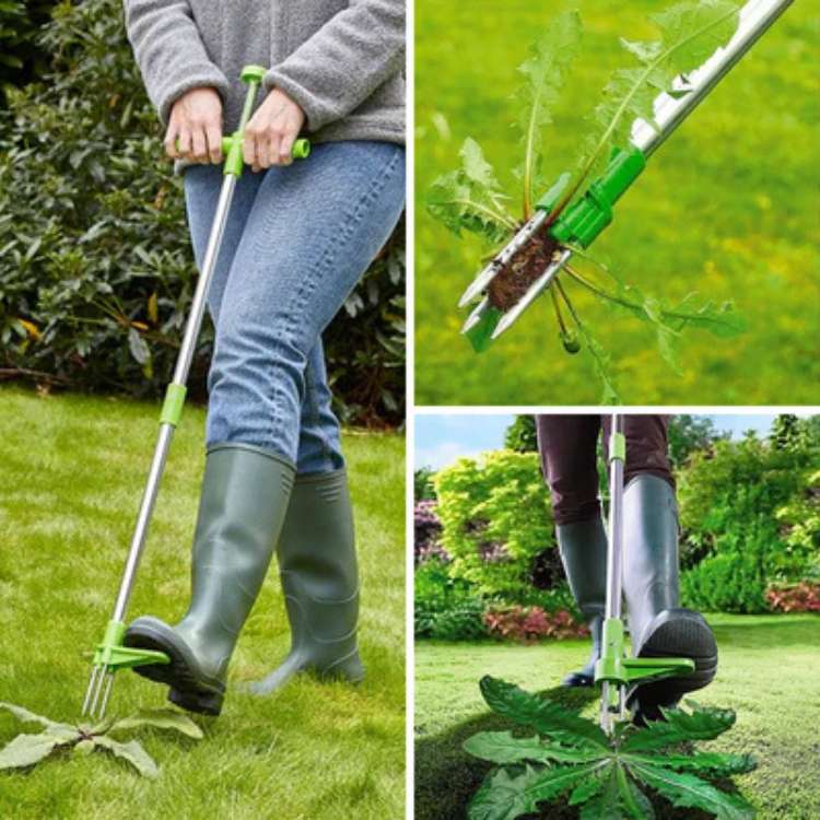 Siopsrl| Garden Weed Removal Tool Stainless Steel Root Puller