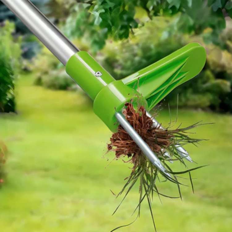 Siopsrl| Garden Weed Removal Tool Stainless Steel Root Puller