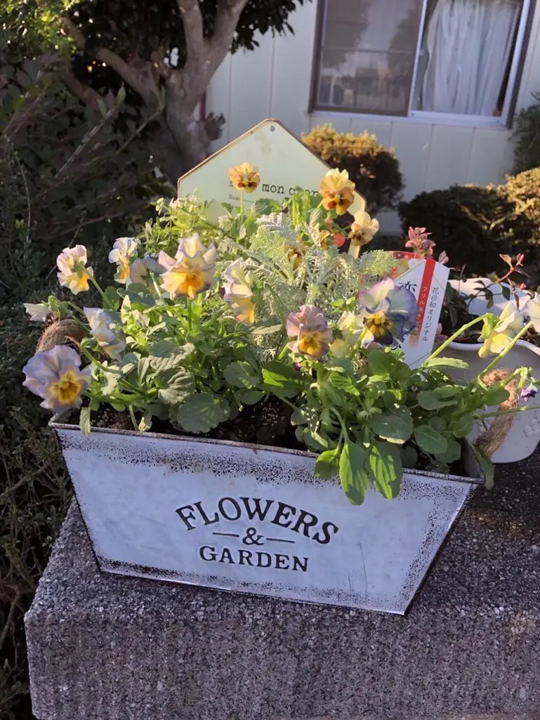 Siopsrl| Decorative flower and garden container made of metal with hemp rope handles