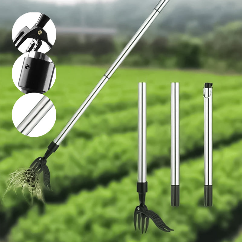 Siopsrl| New removable weeder
