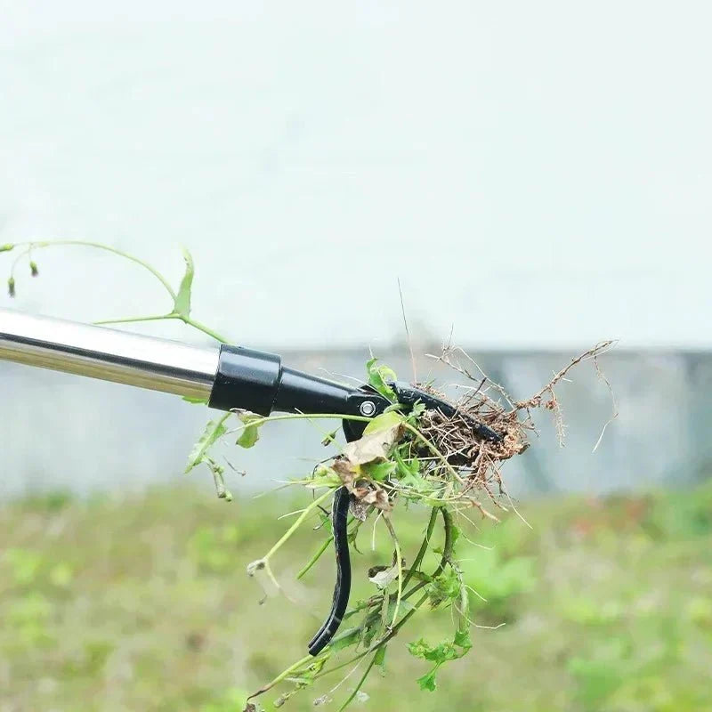Siopsrl| EasyRoot | Free your garden from weeds