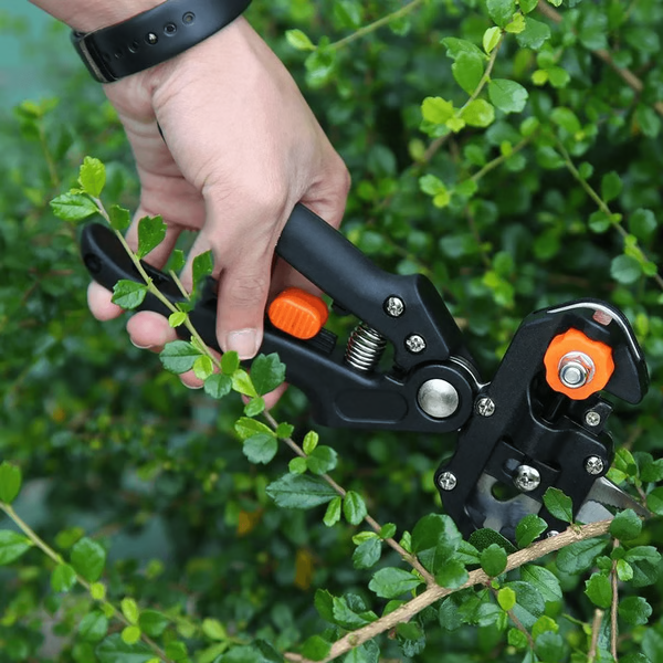 Siopsrl| Professional Grafting & Pruning Tool