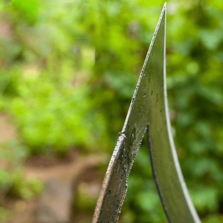 Siopsrl| Garden hack - A perfect garden!