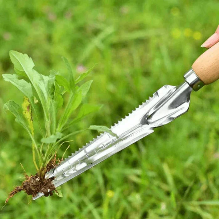 Stainless Steel Precision Tool for Durable Gardening Siopsrl