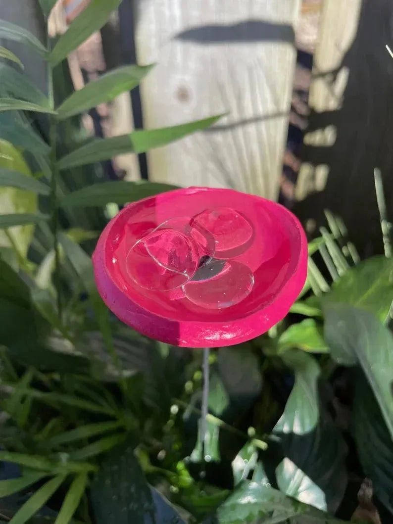 Bee Watering Station. Butterfly Puddler. Hummingbird Drinking Cups