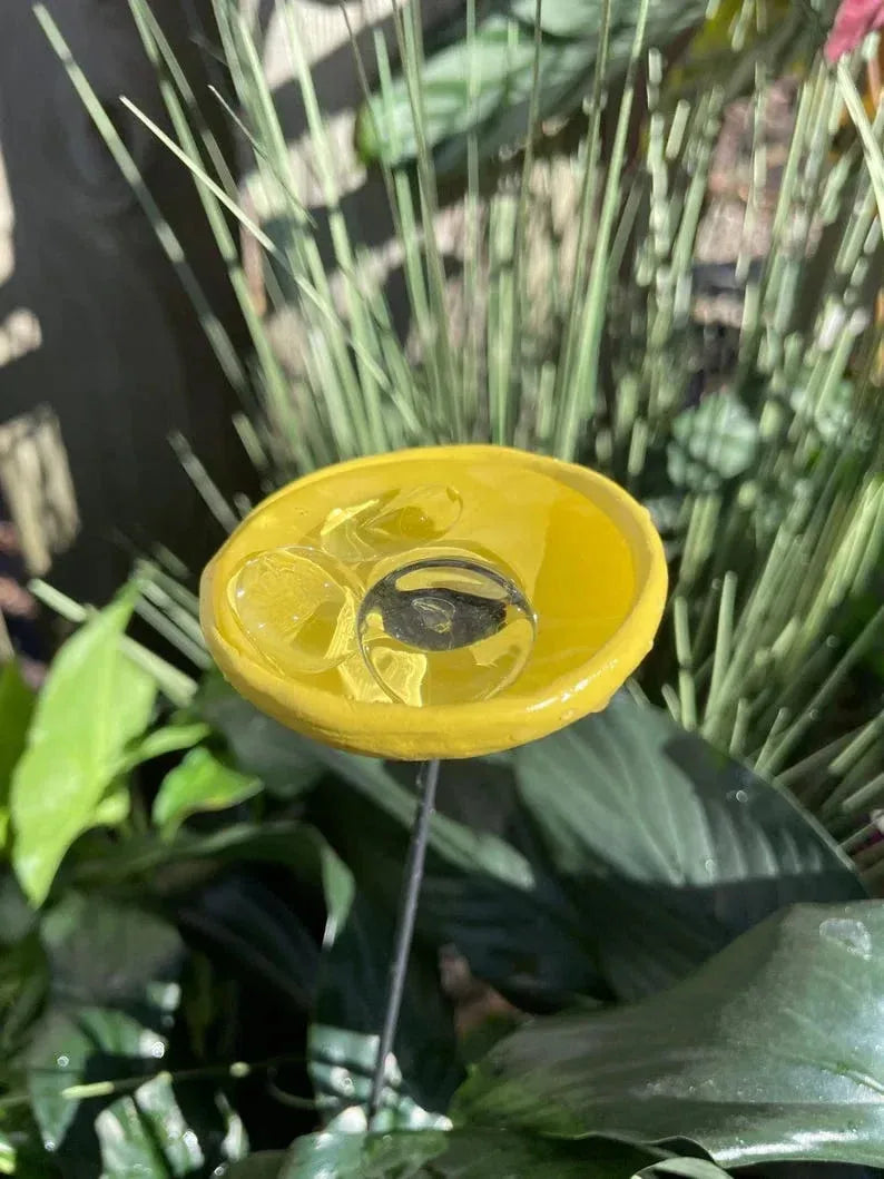 Bee Watering Station. Butterfly Puddler. Hummingbird Drinking Cups