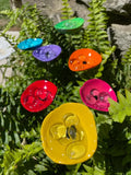 Bee Watering Station. Butterfly Puddler. Hummingbird Drinking Cups