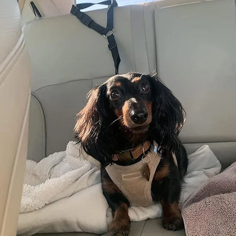 2-in-1 Dog Car Seat Belt & Walking Leash