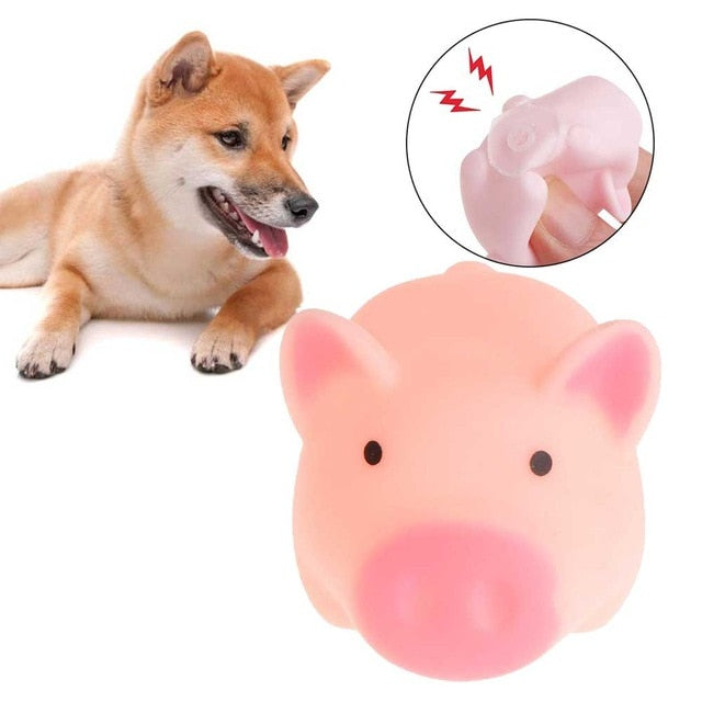 Siopsrl Textured Rubber Dog Toy for Chewing & Dental Play