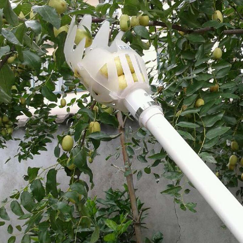 Fruit Picker & Catcher Garden Tool | Siopsrl