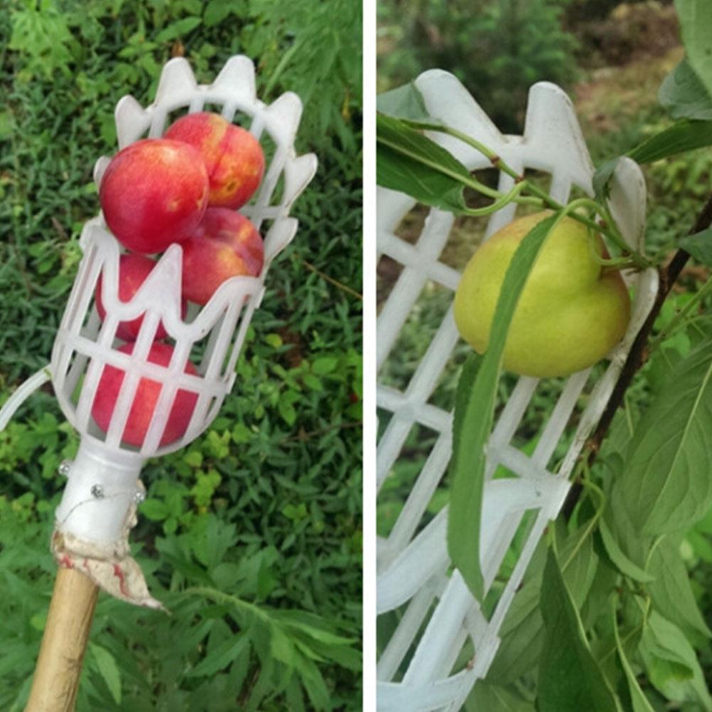 Fruit Picker & Catcher Garden Tool | Siopsrl