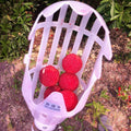 Fruit Picker & Catcher Garden Tool | Siopsrl