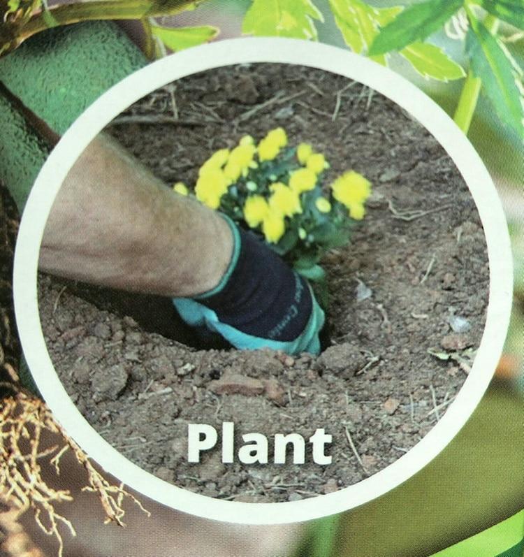Siopsrl| Claws Garden Gloves