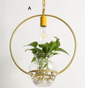 Siopsrl| Modern Decorative Hanging Lights