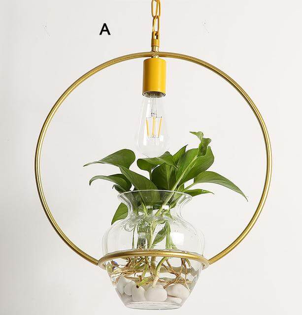 Siopsrl| Modern Decorative Hanging Lights