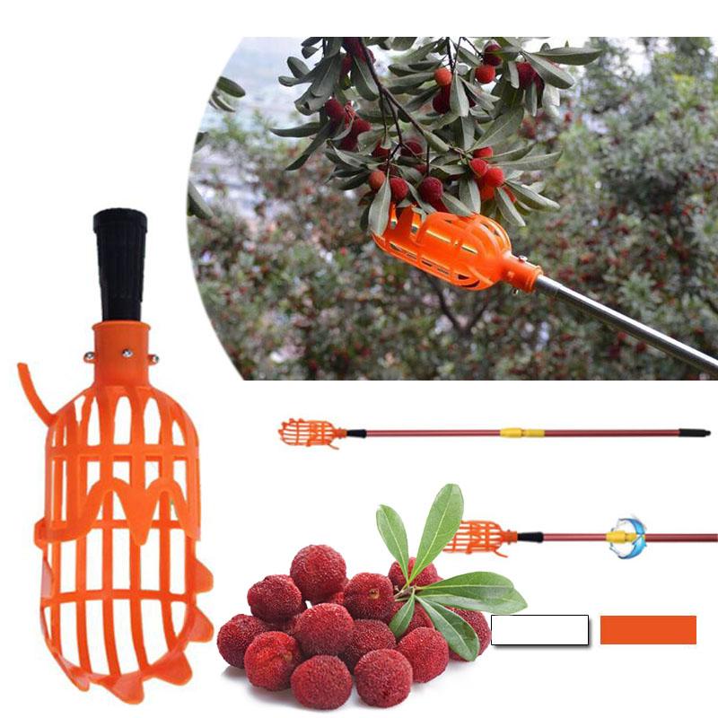 Fruit Picker & Catcher Garden Tool | Siopsrl