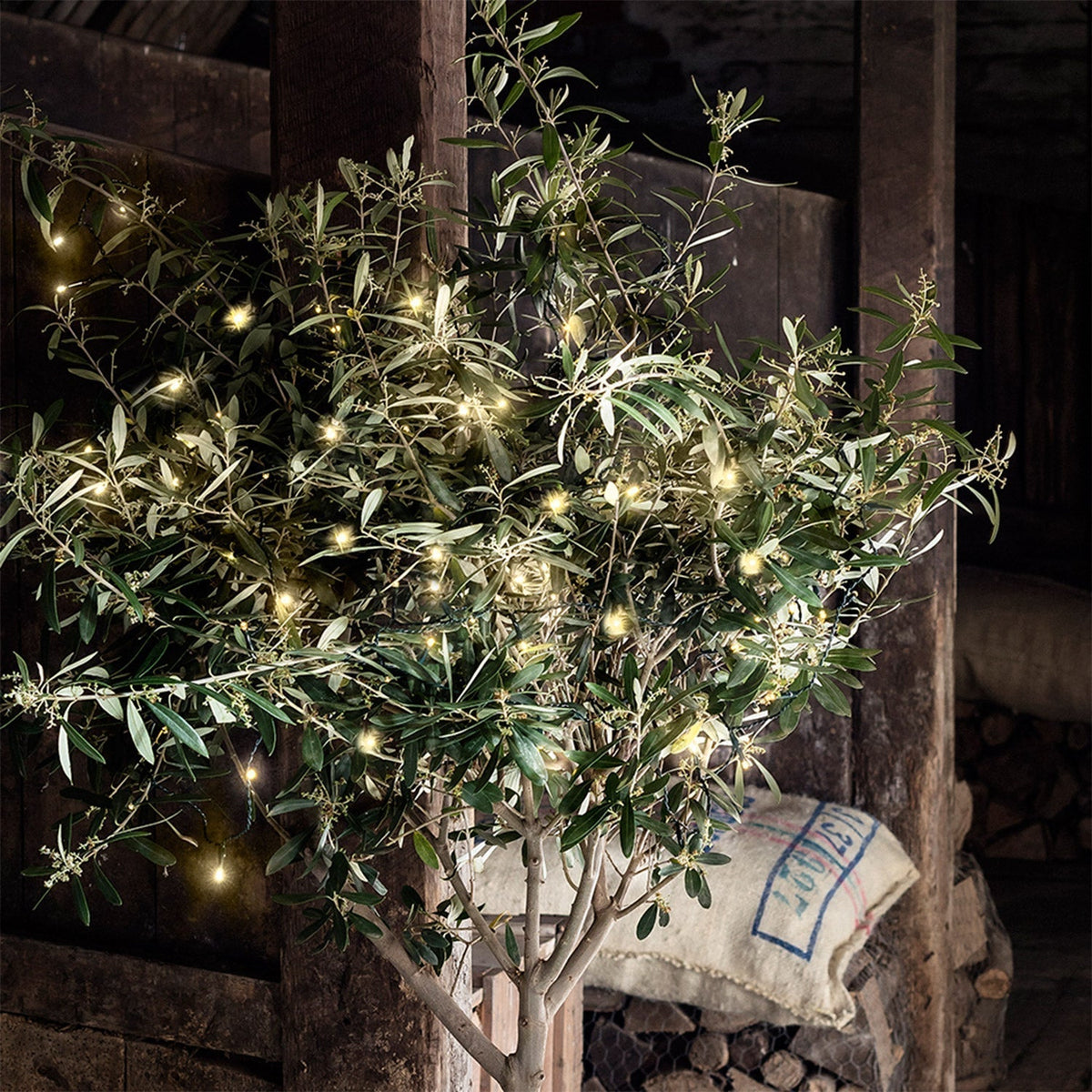 Christmas Decorations LED String Lights