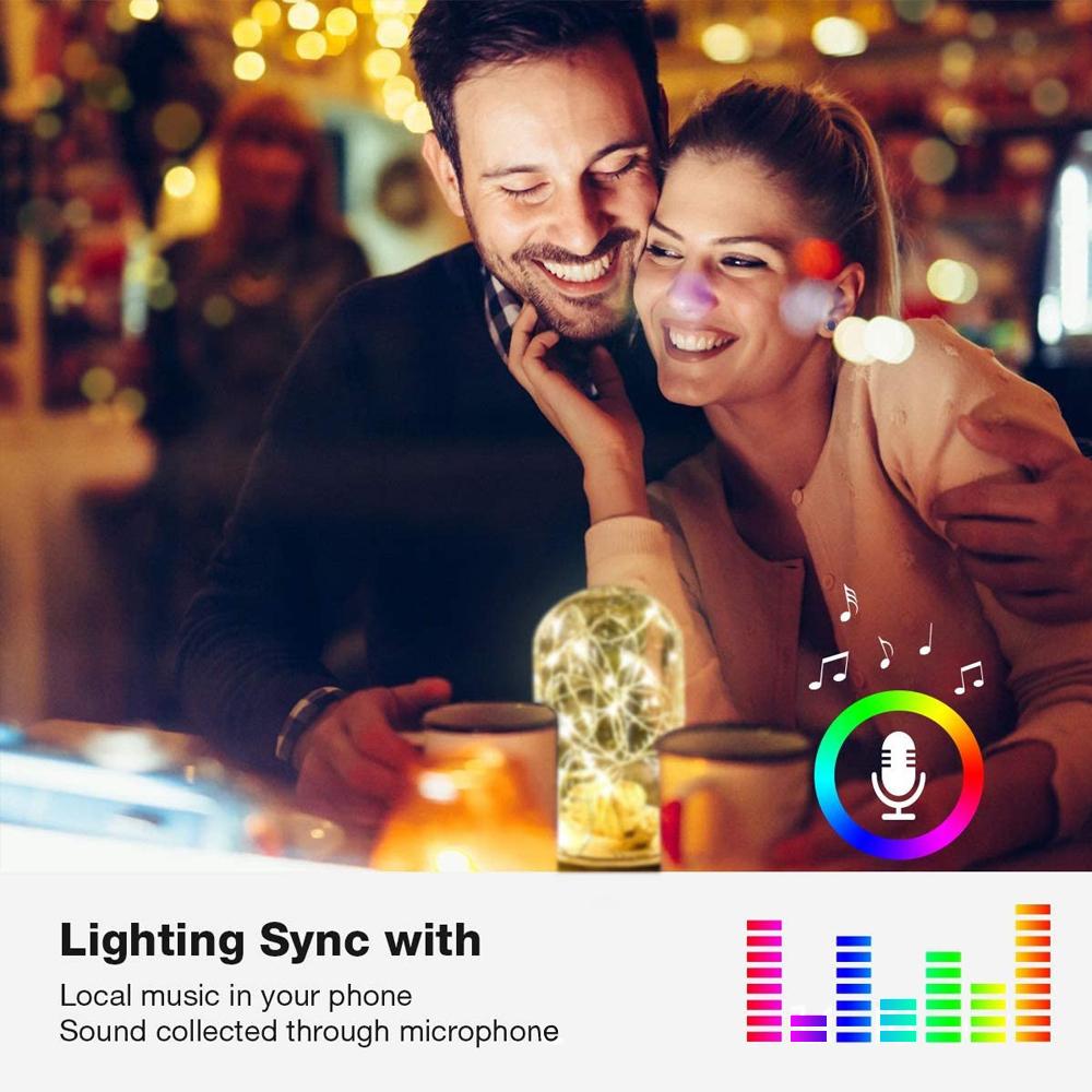 Upgraded Christmas LED String Lights