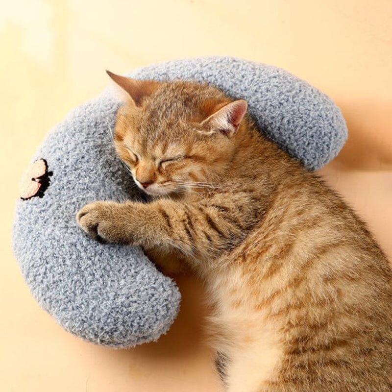 Cat Lovely Comfortable Cushion