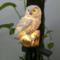 Siopsrl| Barter | Garden lamp owls with solar energy