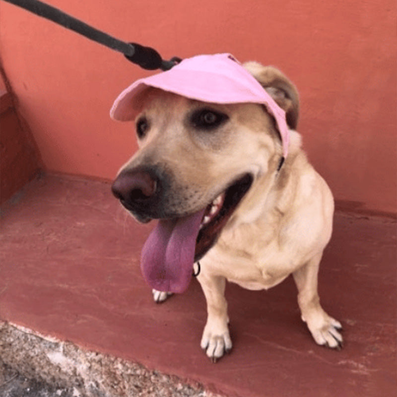Siopsrl | Dog hat