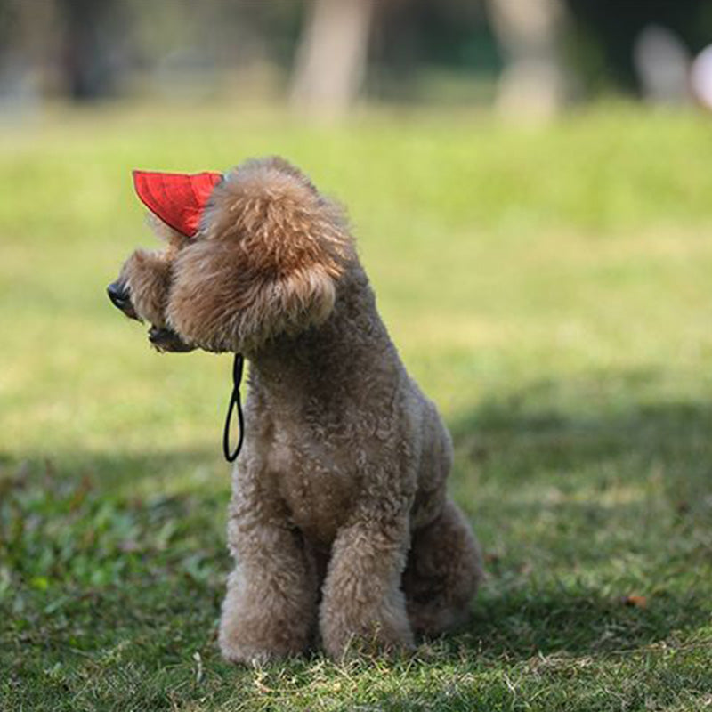 Siopsrl | Dog hat