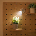 Siopsrl| LED Spotlight Adjustable Wall Mounted
