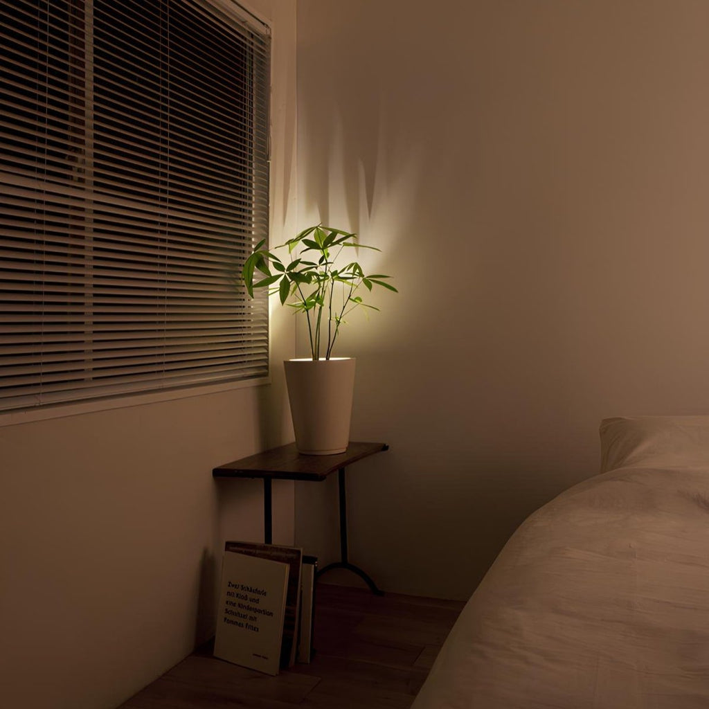 Siopsrl| LED Spotlight Adjustable Wall Mounted